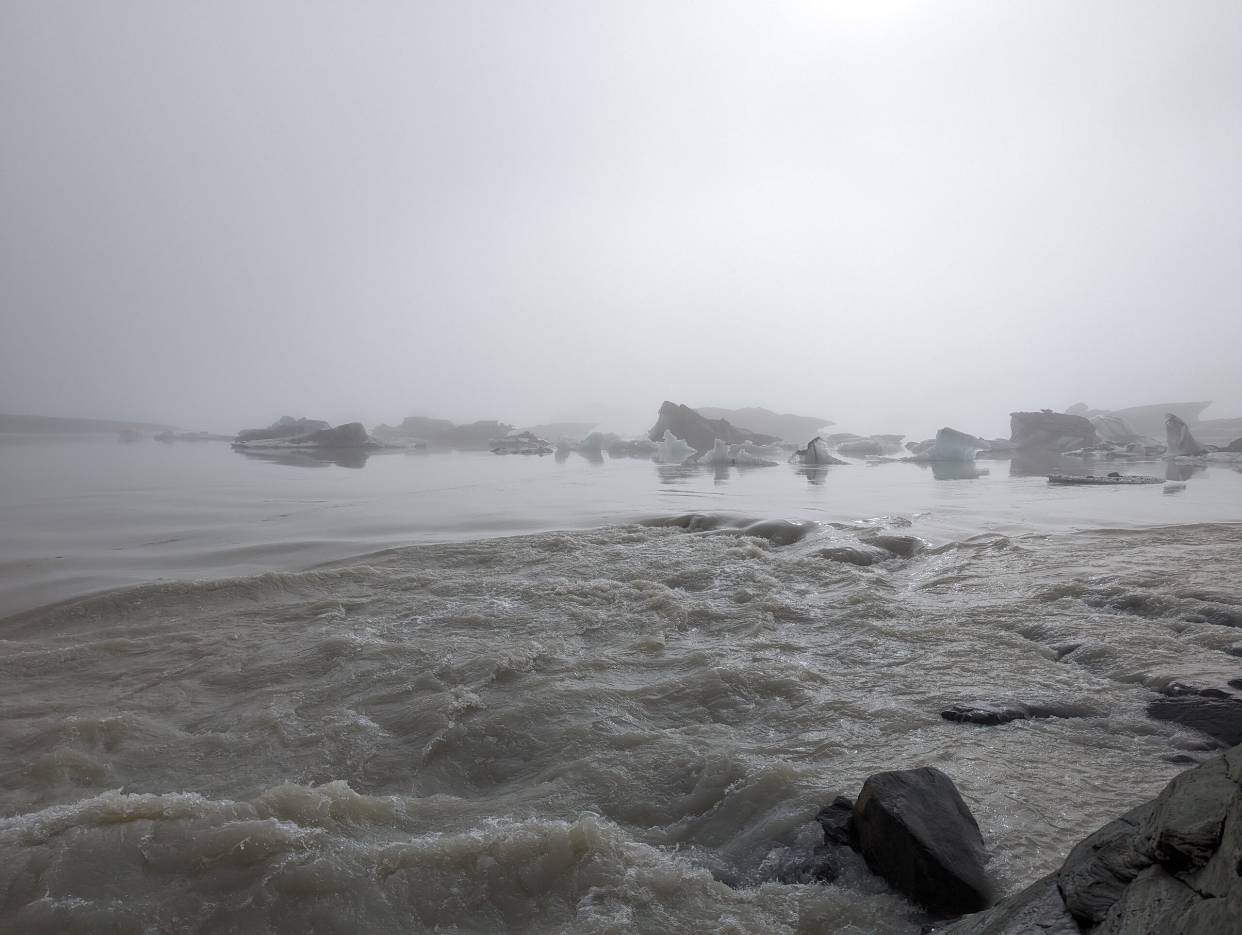 Unraveling Arctic Ecosystem Changes through eDNA Sequencing