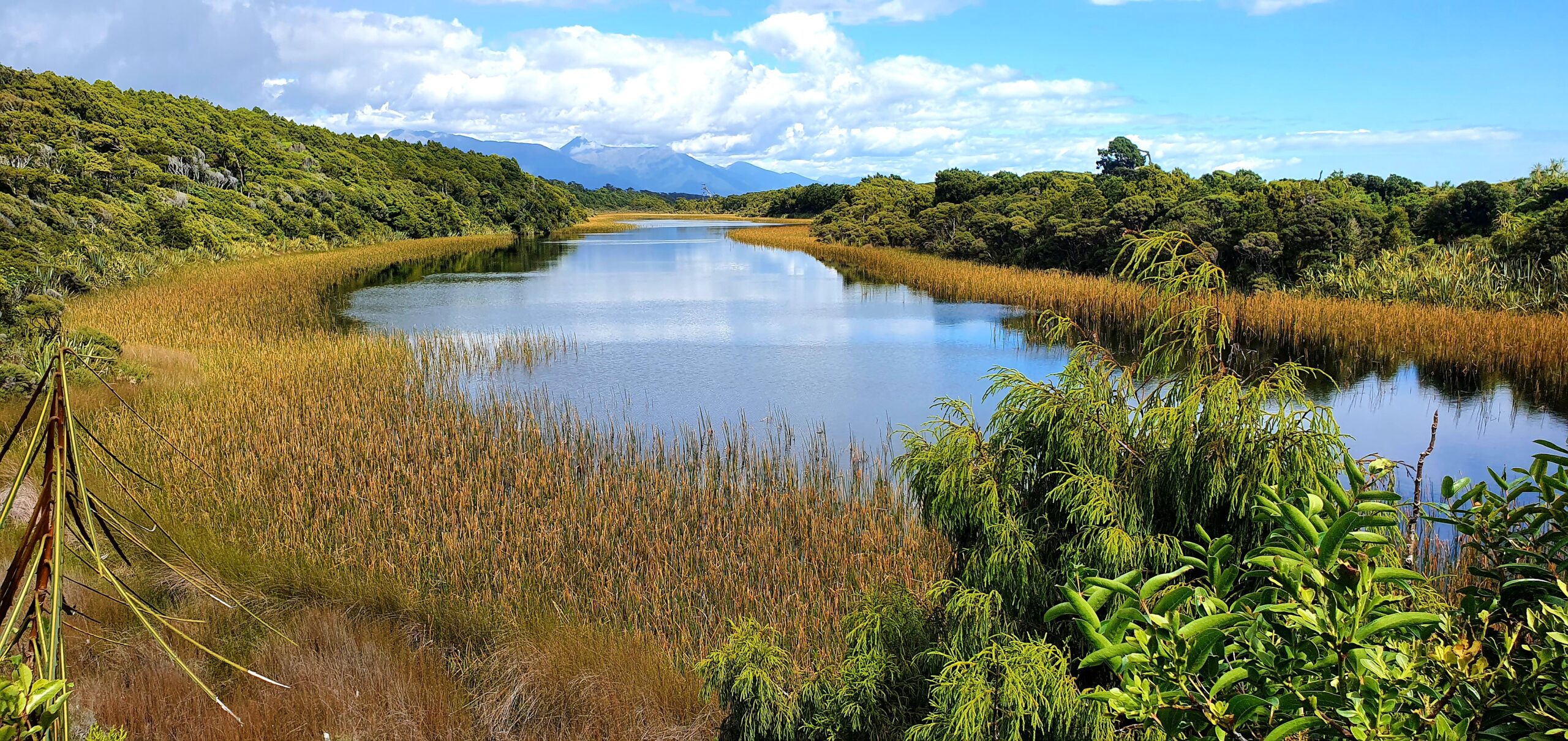 On the Front Line of Freshwater Biosecurity